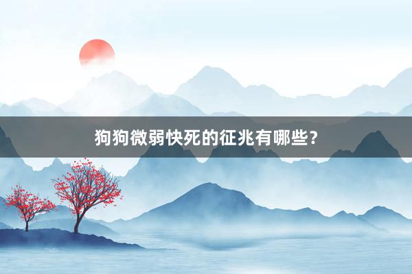 狗狗微弱快死的征兆有哪些？