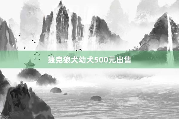 捷克狼犬幼犬500元出售